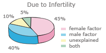 Causes of Female Infertility